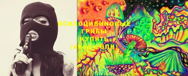 ешки Абаза