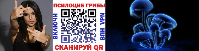 Псилоцибиновые грибы Psilocybe  цены наркотик  Липецк 